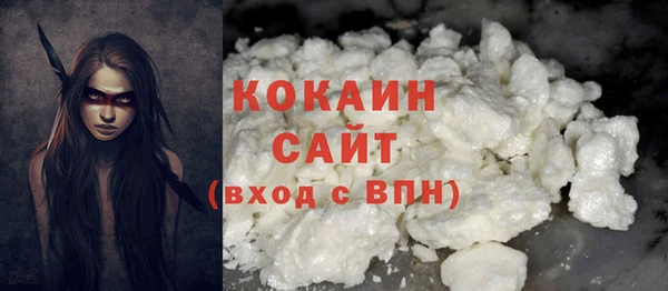 молекула духа Дмитров