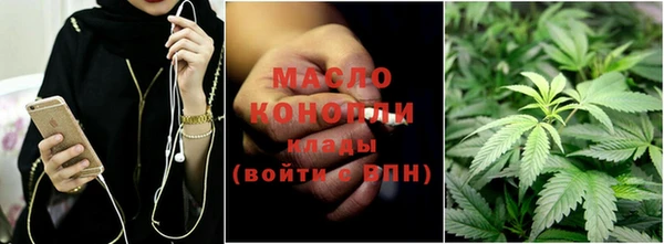молекула духа Дмитров