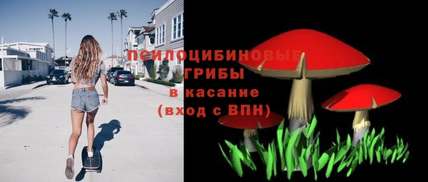 молекула духа Дмитров