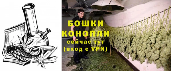 кристаллы Дмитриев
