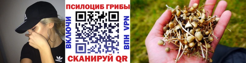 Галлюциногенные грибы MAGIC MUSHROOMS  Купить закладки  Можайск 