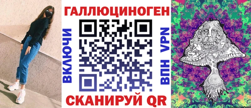 Псилоцибиновые грибы Psilocybe Можайск